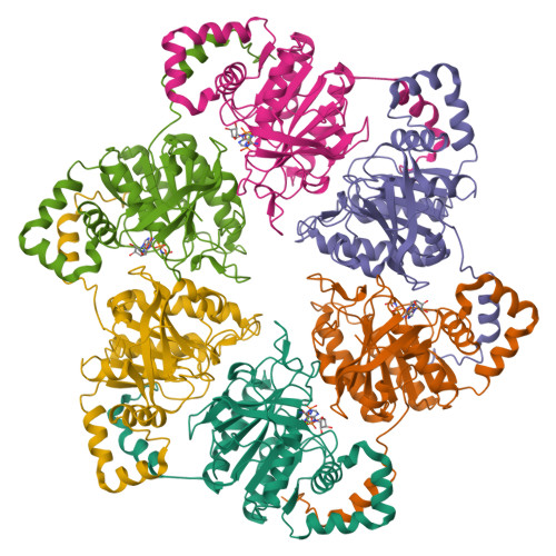 GLMYsymm Server Logo