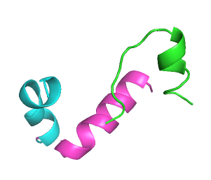 ACPred-BMF Server Logo