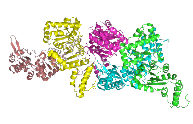 PPIformer Server Logo