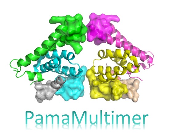 PamaMultimer Server Logo